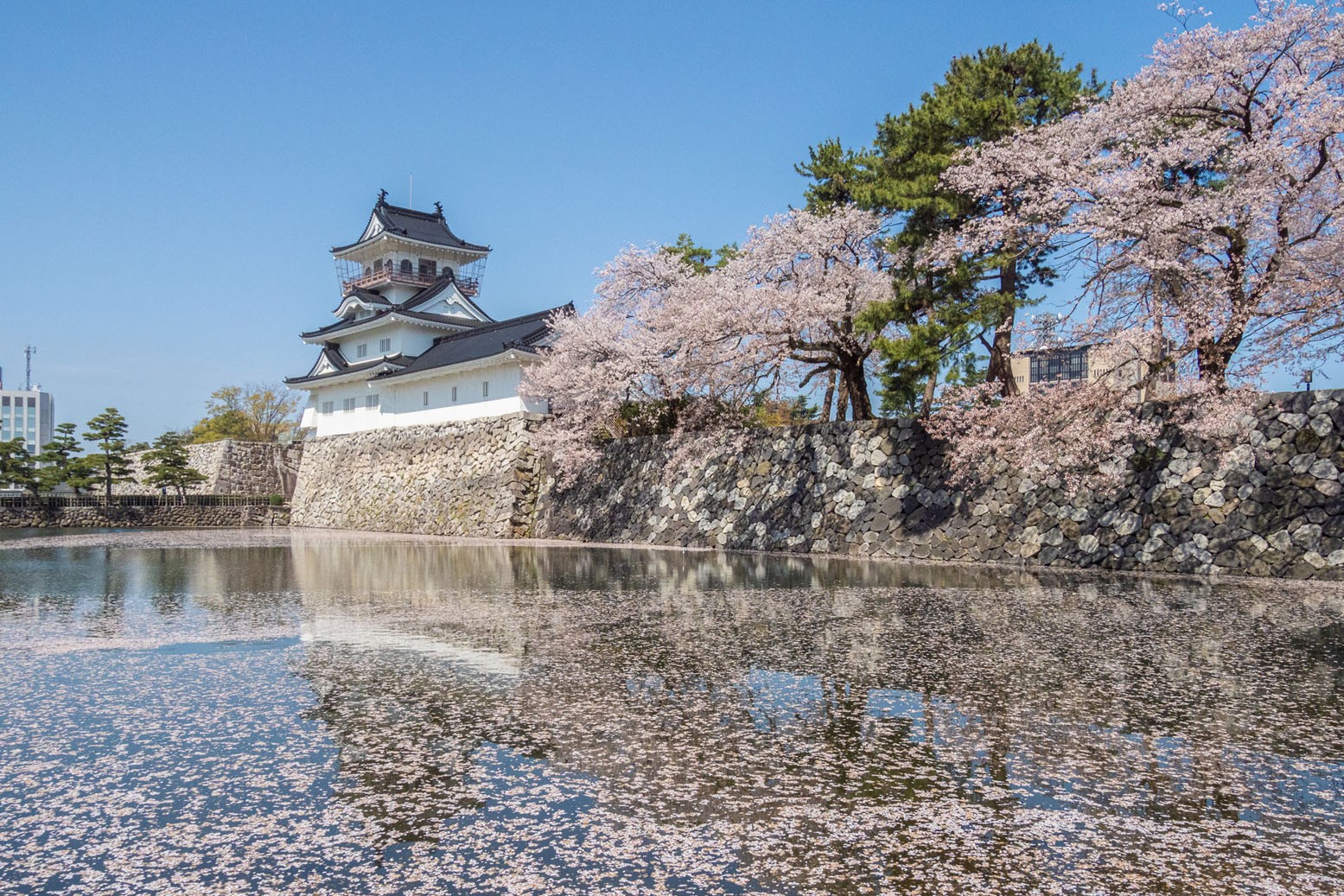 富山城・富山市郷土博物館