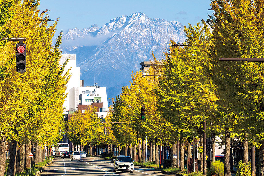 平和通り(護国神社前)